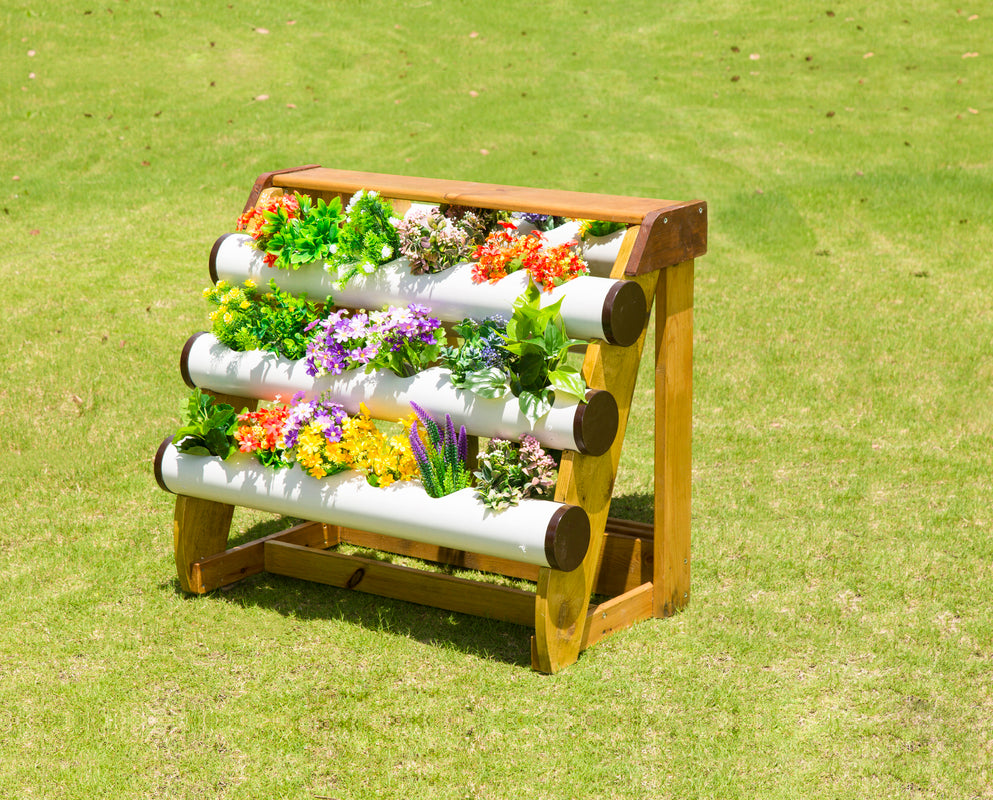 CS50. Mi Huerta Orgánica