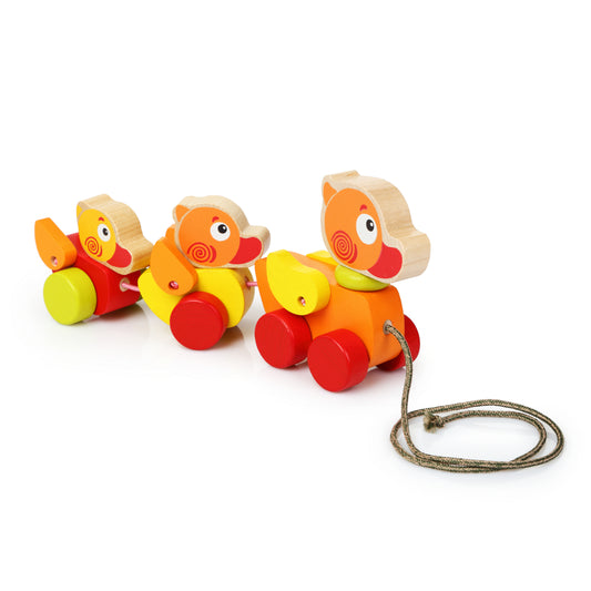 S113. Familia de Patitos de Arrastre